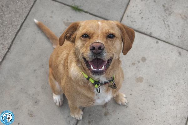 Washy: cercasi umano disposto a farsi rubare il cuore Foto 2